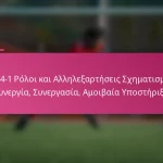 3-2-4-1 Ρόλοι και Αλληλεξαρτήσεις Σχηματισμού: Συνεργία, Συνεργασία, Αμοιβαία Υποστήριξη