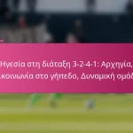 Ηγεσία στη διάταξη 3-2-4-1: Αρχηγία, Επικοινωνία στο γήπεδο, Δυναμική ομάδας